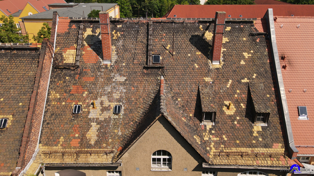 Altes Biberdach in leipzig. Foto zeigt alte Biber, Gauben und alte Schornsteineinfassungen. 